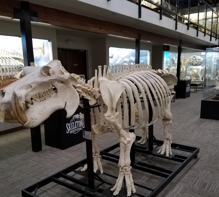Museum of Osteology (Oklahoma&nbspCity,&nbspOK)